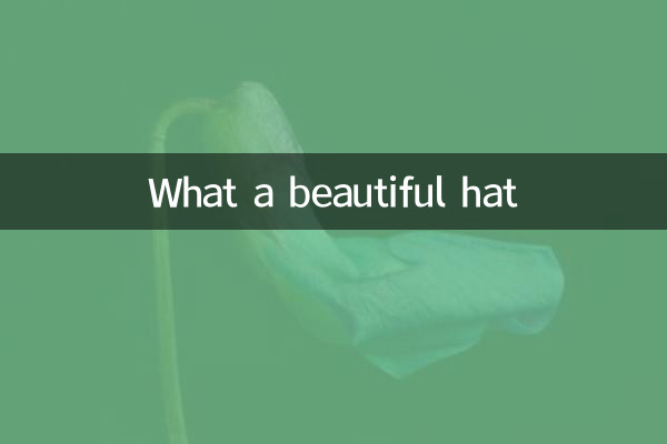 一什么漂亮的帽子