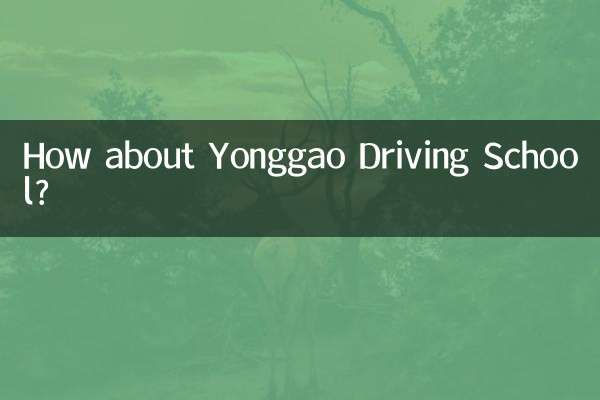 How about Yonggao Driving School?
