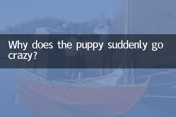 幼犬突然狂躁怎么回事
