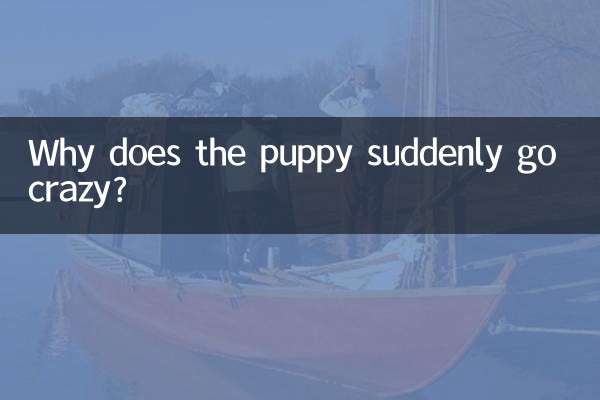 چرا توله سگ ناگهان دیوانه می شود؟