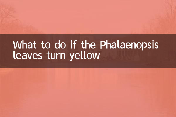 胡蝶蘭の葉が黄色くなった場合の対処法