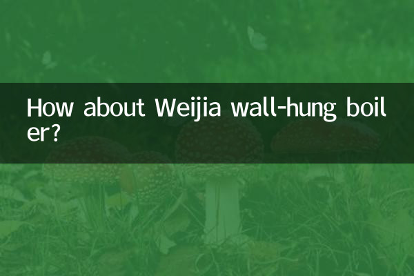 维家壁挂炉怎么样