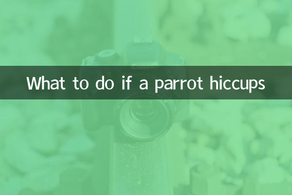 তোতা হেঁচকি উঠলে কি করবেন