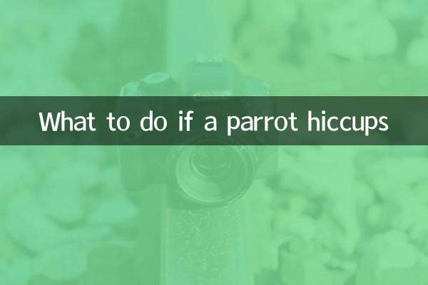 তোতা হেঁচকি উঠলে কি করবেন