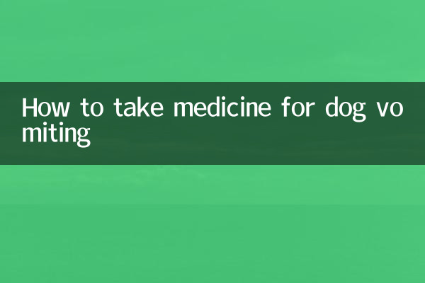 کتے کو الٹی کے ل medicine دوا کیسے لیں