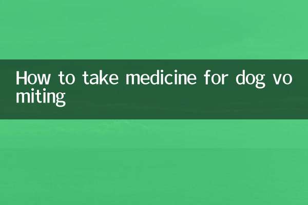 کتے کو الٹی کے ل medicine دوا کیسے لیں