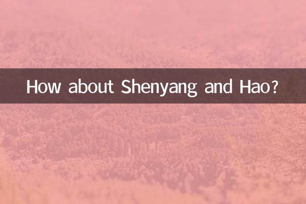 심양과 하오는 어때요?