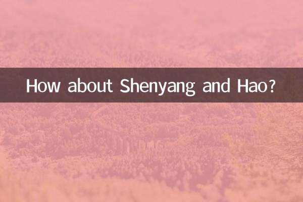 瀋陽和昊怎麼樣