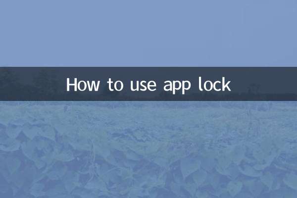 So verwenden Sie die App-Sperre