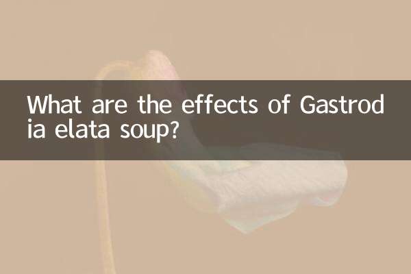 اثرات سوپ گاسترودیا الاتا چیست؟