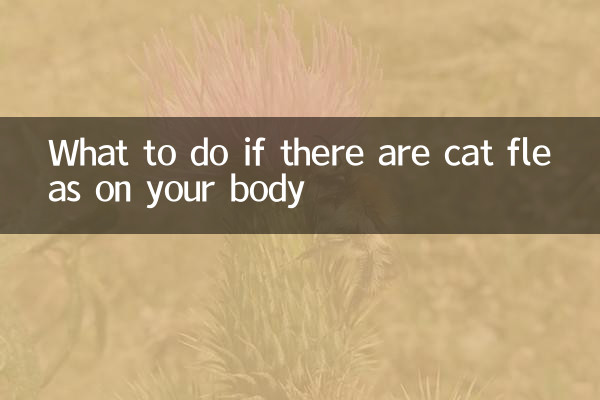 体に猫ノミがいたらどうするか