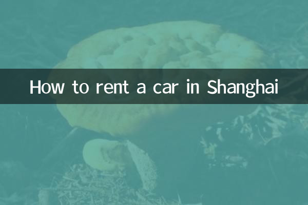 上海でレンタカーを借りる方法