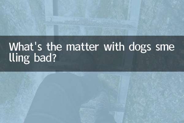狗身上有味是怎麼回事