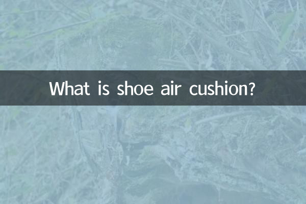 O que é almofada de ar para calçados?