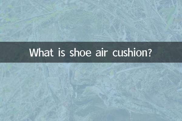 O que é almofada de ar para calçados?