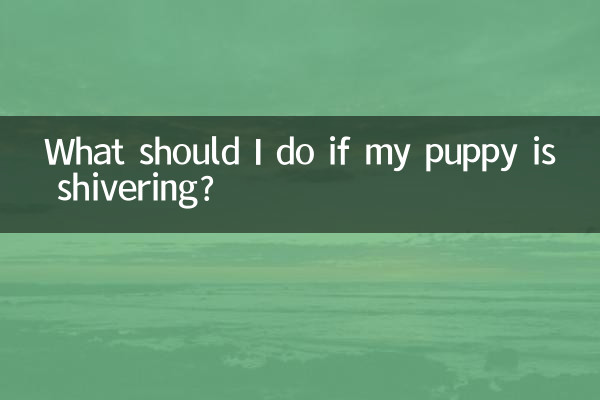 ماذا علي أن أفعل إذا كان جرو يرتجف؟