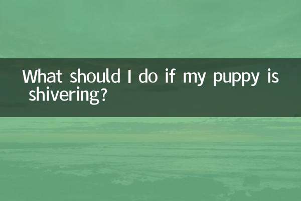 ماذا علي أن أفعل إذا كان جرو يرتجف؟