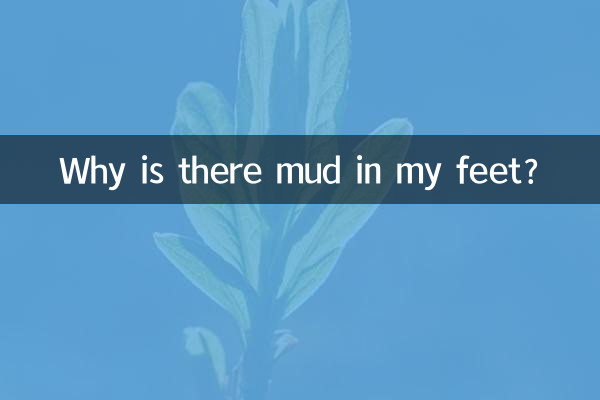 왜 발에 진흙이 묻어있나요?