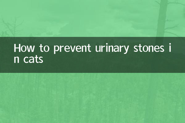 So verhindern Sie Harnsteine bei Katzen