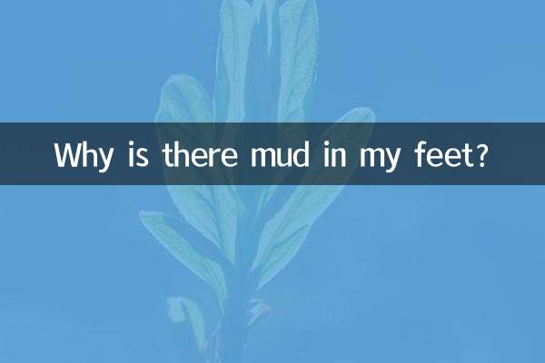 왜 발에 진흙이 묻어있나요?