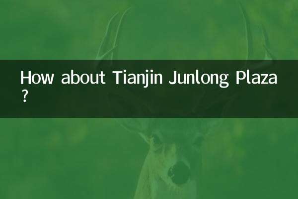 তিয়ানজিন জুনলং প্লাজা সম্পর্কে কেমন?