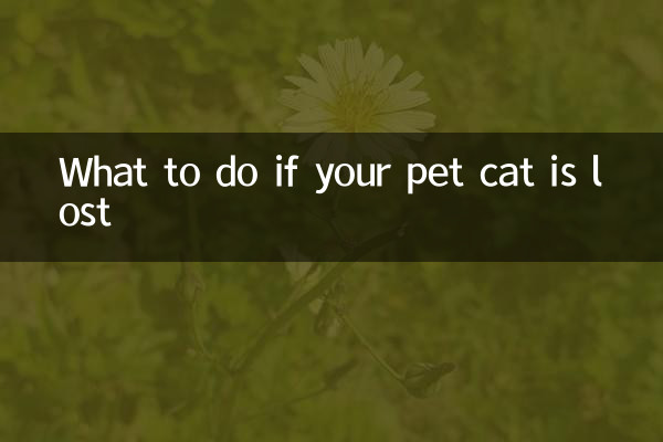 আপনার পোষা বিড়াল হারিয়ে গেলে কি করবেন