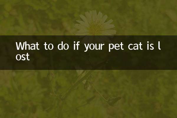 আপনার পোষা বিড়াল হারিয়ে গেলে কি করবেন