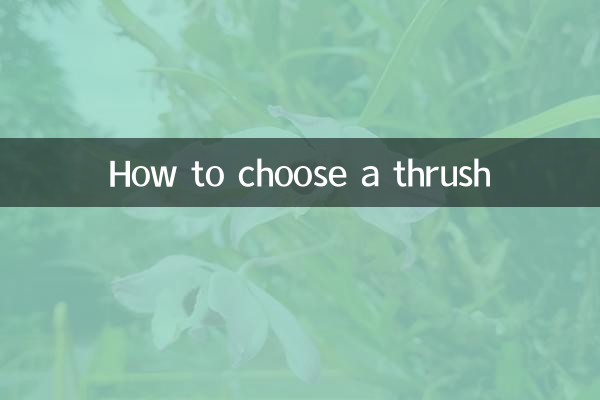 How to choose a thrush