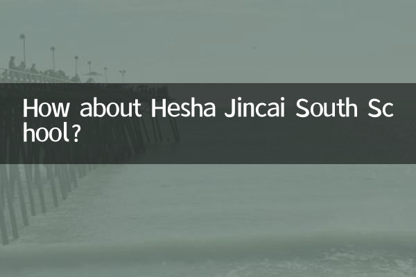 How about Hesha Jincai South School?