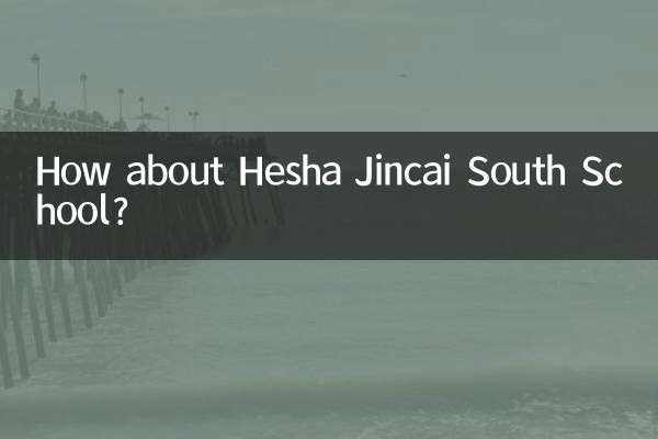 How about Hesha Jincai South School?