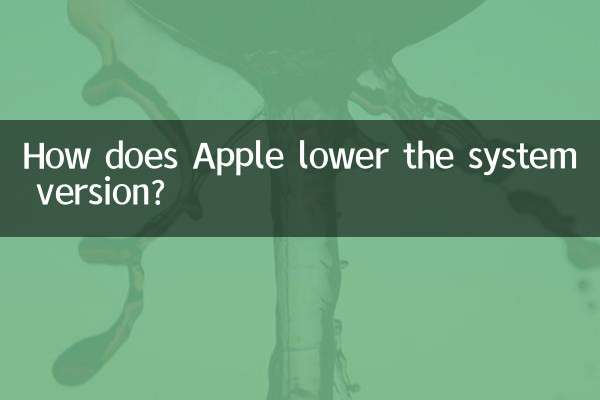 Apple은 시스템 버전을 어떻게 낮추나요?