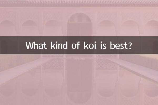 ¿Qué tipo de koi es mejor?