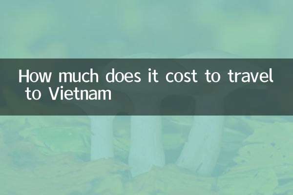 베트남 여행에 드는 비용은 얼마입니까?