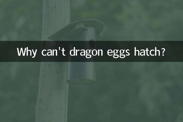 Why can't dragon eggs hatch?