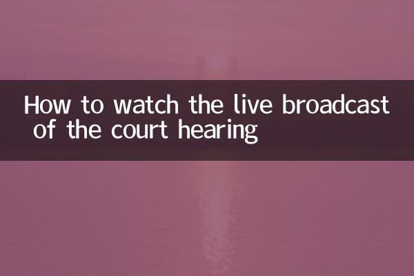 Как посмотреть прямую трансляцию судебного заседания