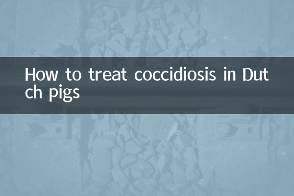 نحوه درمان کوکسیدیوز در خوک های هلندی