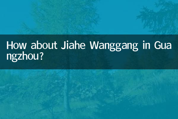 گوانگ میں جیاہ وانگگنگ کے بارے میں کیا خیال ہے؟