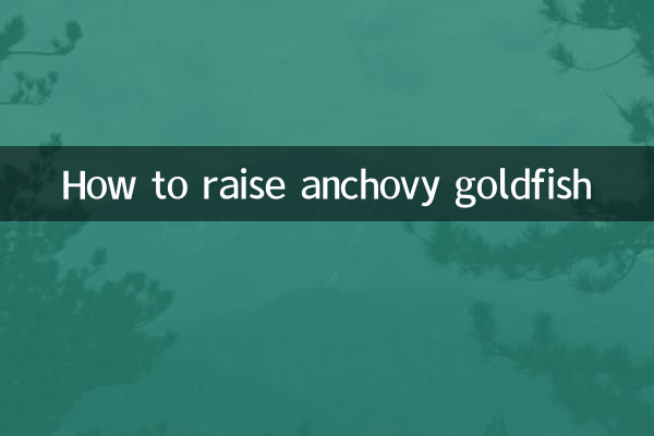 كيفية تربية سمكة الأنشوجة الذهبية