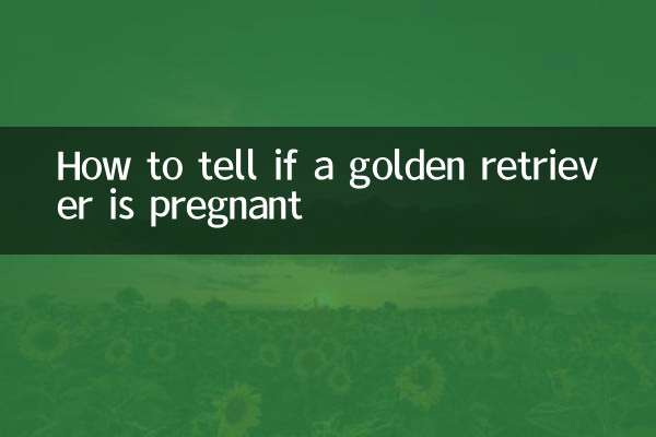 একটি গোল্ডেন রিট্রিভার গর্ভবতী কিনা তা কিভাবে বলবেন