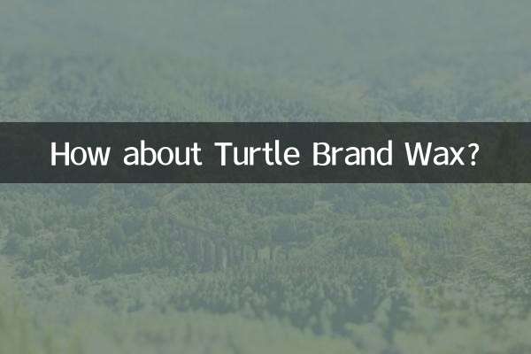 タートルブランドワックスはいかがですか？