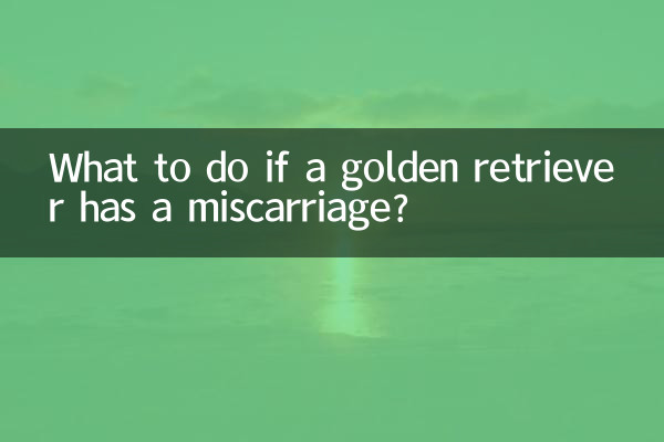What to do if a golden retriever has a miscarriage?