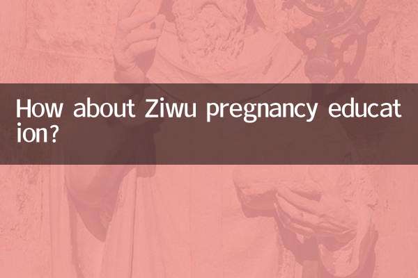 Wie wäre es mit der Ziwu-Schwangerschaftsaufklärung?