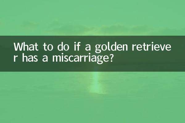 What to do if a golden retriever has a miscarriage?