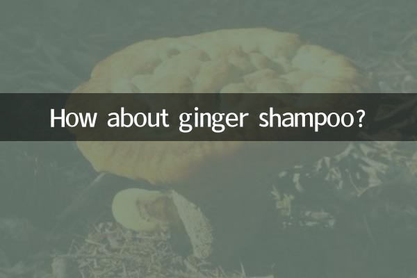 Que tal shampoo de gengibre?