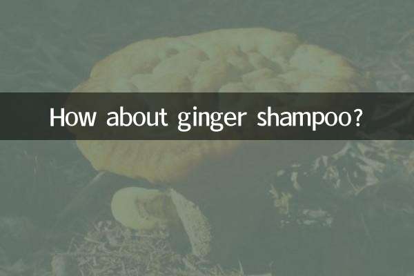 Que tal shampoo de gengibre?