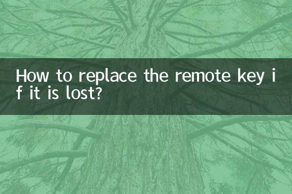 How to replace the remote key if it is lost?