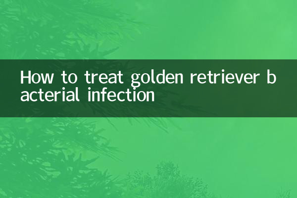 金毛细菌感染怎么治疗