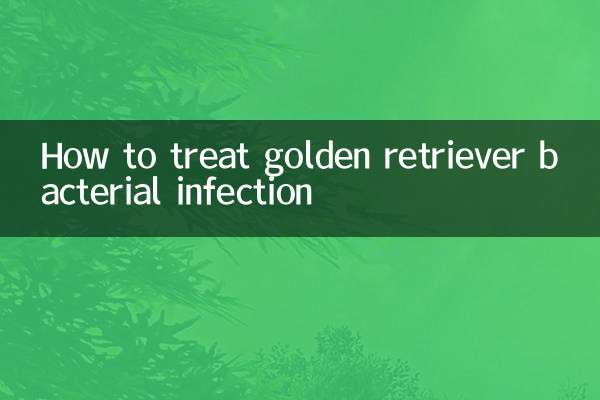 金毛细菌感染怎么治疗