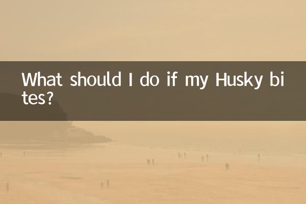 허스키에게 물리면 어떻게 해야 하나요?