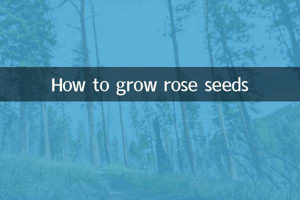 How to grow rose seeds